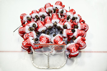 Картинка спорт хоккей хокей игроки команд