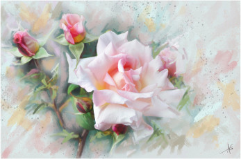 Картинка рисованное цветы роза