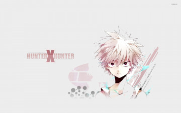 Картинка аниме hunter+x+hunter охотник х