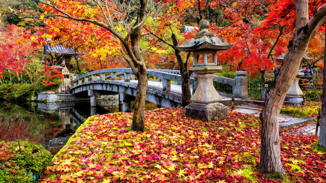 Обои картинки фото города, - мосты, японский, садик, осень, листопад