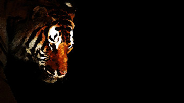 обоя 295448, рисованное, животные,  тигры, тигр