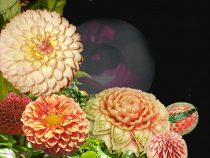 Картинка цветы георгины