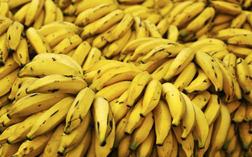 Картинка еда бананы много гроздья