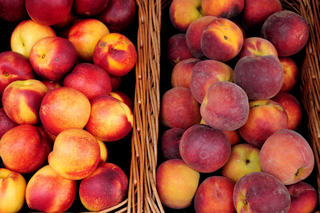 Обои картинки фото еда, персики, сливы, абрикосы, персик, нектарин, корзинки