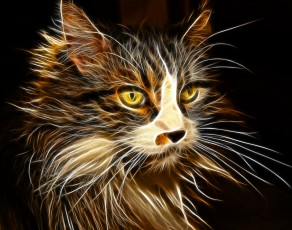 Картинка 3д+графика animals+ животные взгляд кот фон