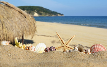 обоя разное, ракушки,  кораллы,  декоративные и spa-камни, seashells, небо, море, sand, paradise, shore, sea, blue, beach, summer, starfish, берег, пляж, песок