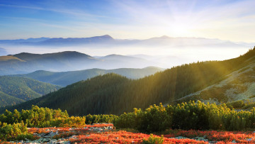 Картинка природа горы лучи туман лес луга