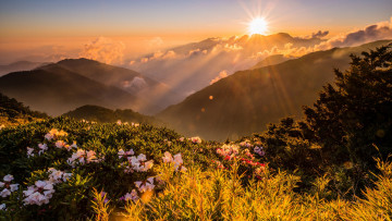 Картинка природа восходы закаты пейзаж свет лучи облака солнце холмы рассвет блики туман горы цветы небо зелень
