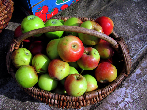 Обои картинки фото еда, Яблоки, яблоки, корзинка, урожай