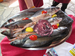 Картинка еда рыба +морепродукты +суши +роллы натюрморт