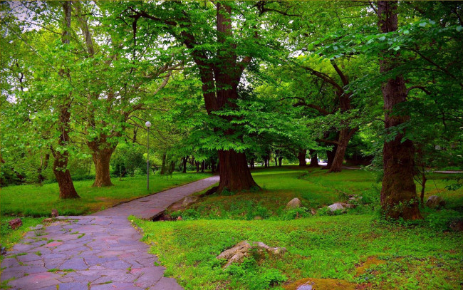 Обои картинки фото природа, парк, фонари, деревья, аллея