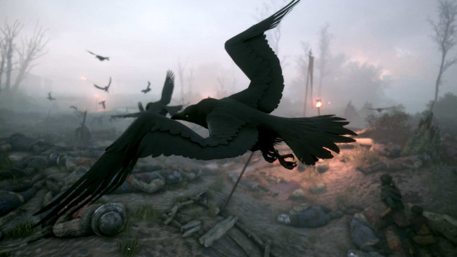 Обои картинки фото видео игры, a plague tale,  innocence, трупы, птицы, вороны