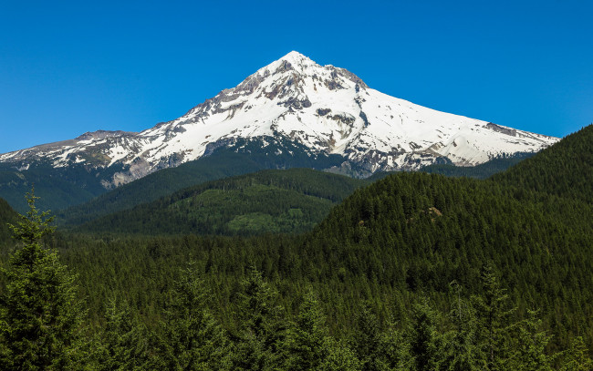 Обои картинки фото mount, hood, oregon, природа, горы, вершина, маунт-худ, вулкан, лес