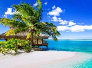 Картинка природа тропики пляж vacation берег песок palms пальмы sunshine ocean sea paradise beach summer море tropical