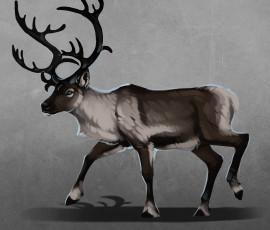 Картинка рисованное животные +олени рога фон олень