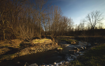 Картинка природа реки озера пейзаж весна река утро
