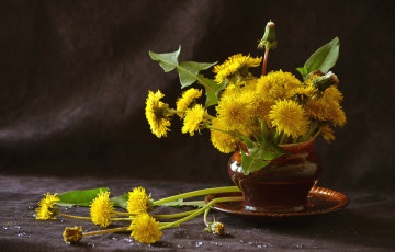 Картинка цветы одуванчики желтый букет