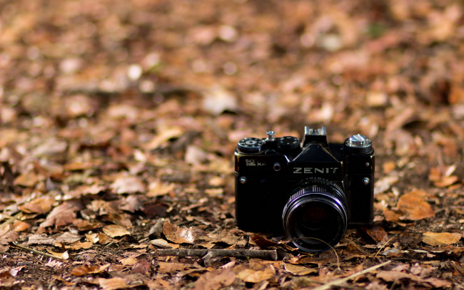 Обои картинки фото бренды, зенит, листья, черный, камера, фотоаппарат, осень