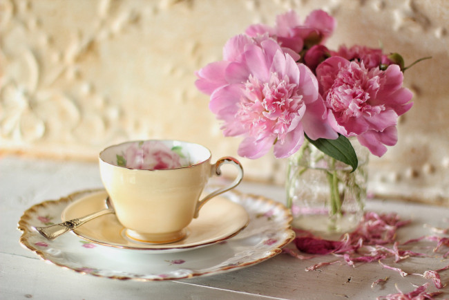 Обои картинки фото цветы, пионы, чашка, блюдце, лепестки