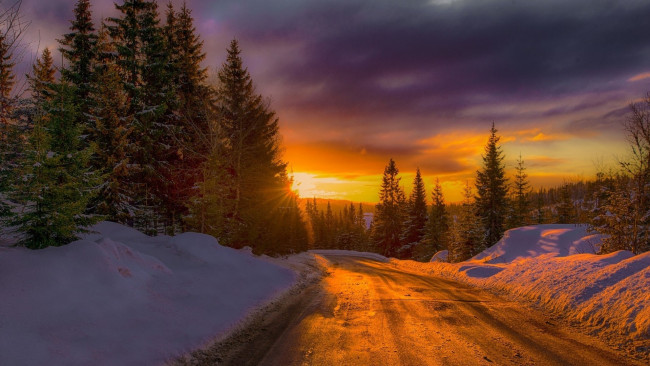 Обои картинки фото природа, дороги, лес, дорога, снег