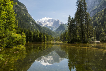 Картинка австрия природа реки озера река горы деревья