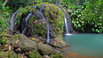 Картинка природа водопады камни расиения