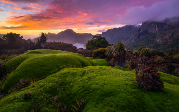 Картинка природа пейзажи лес скалы небо tasmania рассвет облака австралия кусты деревья туман горы