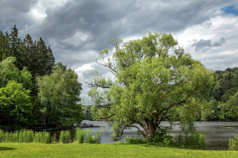 Картинка природа реки озера лето