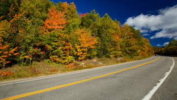 Картинка природа дороги шоссе дорога осень поворот