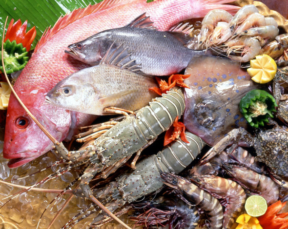 Обои картинки фото еда, рыба,  морепродукты,  суши,  роллы, креветки, свежая