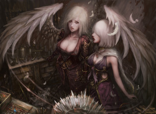 Картинка фэнтези ангелы девушки фон взгляд униформа крылья