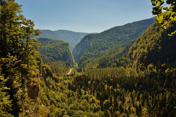 Картинка юпшарское+ущелье+абхазия природа горы юпшарское ущелье абхазия кавказ дорога
