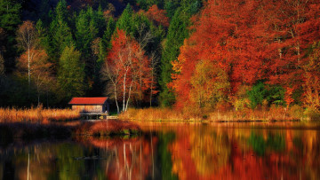 Картинка природа реки озера река отражение деревья осень
