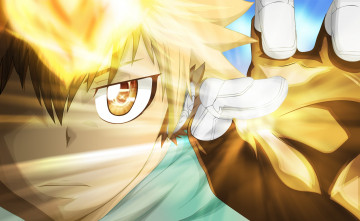 Картинка аниме katekyo+hitman+reborn цуна рука перчатка лицо взгляд учитель мафиози реборн пламя