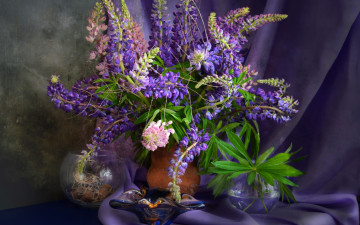 Картинка цветы люпин фиолетовый букет текстура