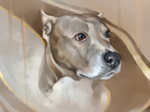 Картинка рисованное животные +собаки морда