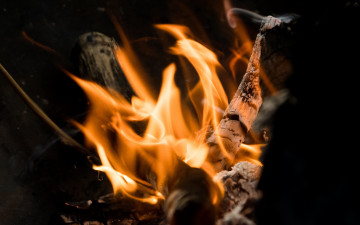 Картинка природа огонь пламя поленья костер