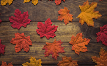 обоя разное, ремесла,  поделки,  рукоделие, листья, осень, background, wood, дерево, фон, leaves, autumn, maple, осенние