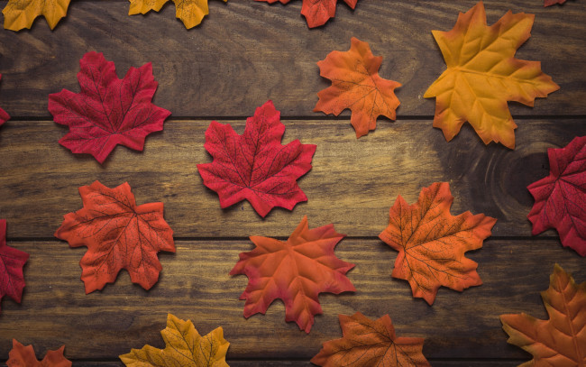 Обои картинки фото разное, ремесла,  поделки,  рукоделие, листья, осень, background, wood, дерево, фон, leaves, autumn, maple, осенние