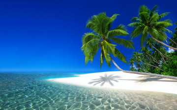 обоя maldives beach, природа, тропики, maldives, beach