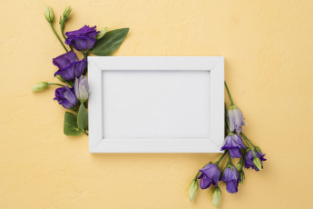 Картинка цветы эустома лиловая рамка