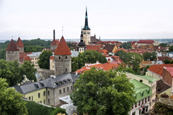 Картинка таллин эстония города дома крыши шпили