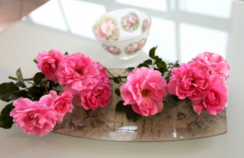Картинка цветы розы чашка розовый поднос