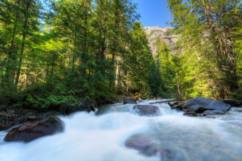 Картинка природа реки озера montana сша glacier national park камни поток лес река деревья горы небо