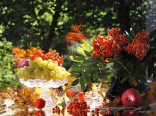 Картинка еда натюрморт осень листья фото яблоки виноград август рябина композиция