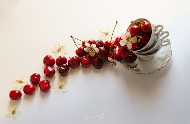 Обои картинки фото еда, вишня,  черешня, чашка, спелая, ягода, цветы, блюдце