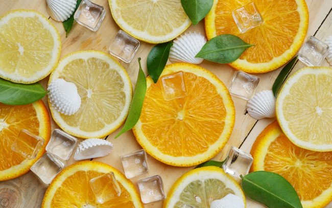 Обои картинки фото еда, цитрусы, ракушки, лед, лимон, апельсин