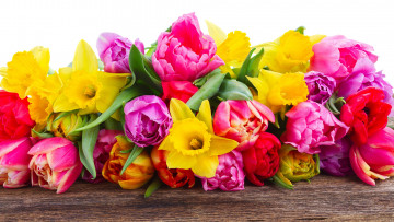 Картинка цветы разные+вместе тюльпаны нарциссы