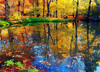 Картинка природа реки озера вода деревья осень листья