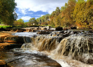 Картинка природа реки озера камни вода деревья